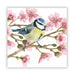 Oiseau Printemps Beverage Napkins – 5" x 5", 20 Pack