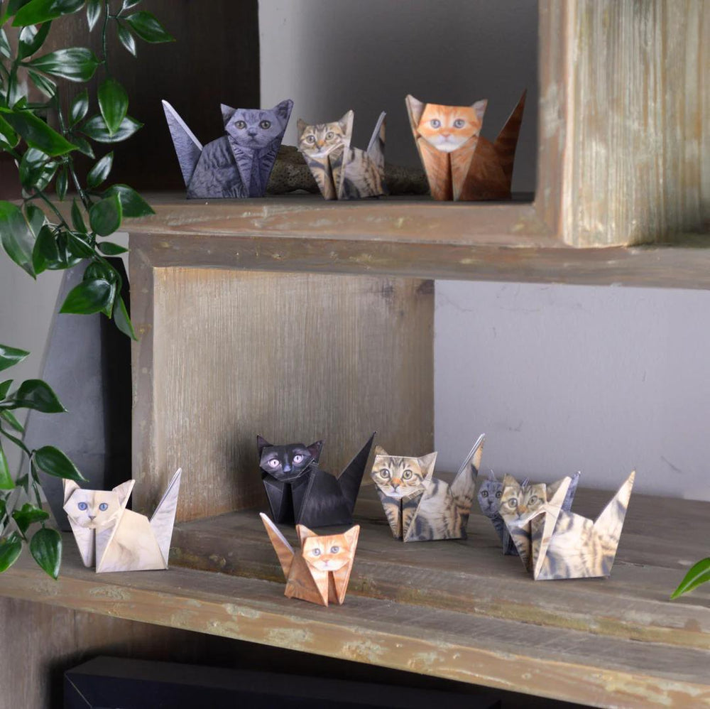 Paper Cats Origami Kit – Fold Your Own 50 Kitty Collection