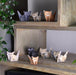 Paper Cats Origami Kit – Fold Your Own 50 Kitty Collection