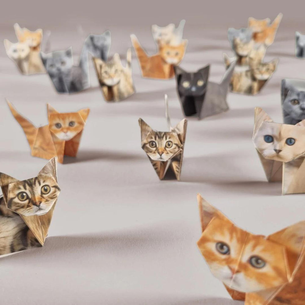 Paper Cats Origami Kit – Fold Your Own 50 Kitty Collection