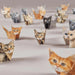 Paper Cats Origami Kit – Fold Your Own 50 Kitty Collection