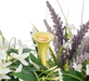 Floral arrangement with white flowers, a yellow calla lily, and purple lavender.