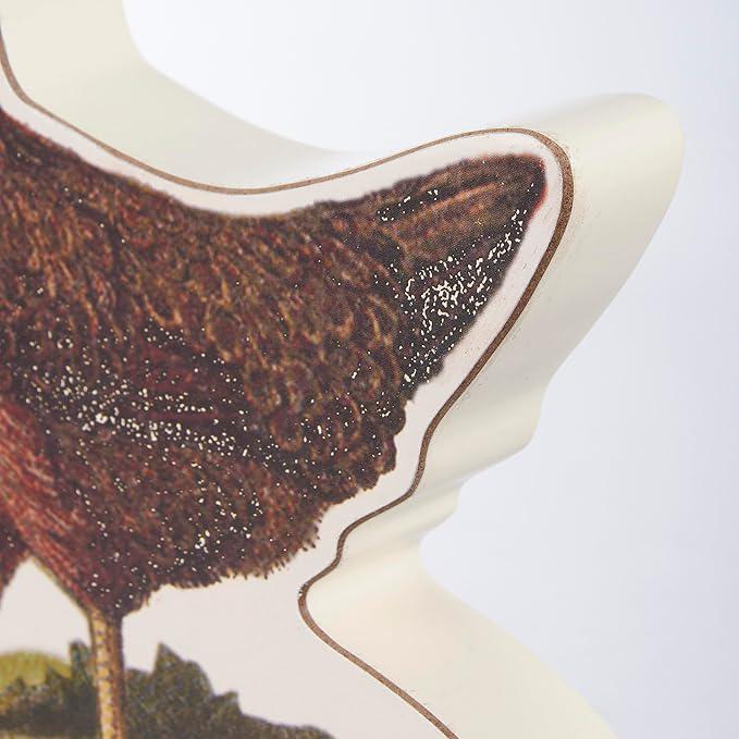 Close-up of a detailed illustration of a bird on a white background