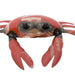Recycled Metal Crab – Unique Nautical Décor, Red, One of a Kind