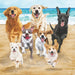 Illustration of dogs running on a beach with ocean in the background