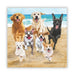 Release the Hounds Beverage Napkins – Funny Dog Cocktail Napkins