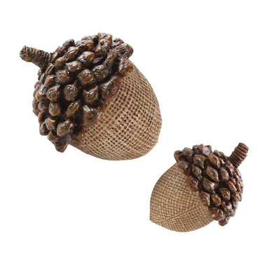 Two decorative acorns on a white background