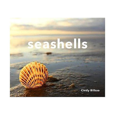 Seashells: A Photographic Journey into Beach Treasures