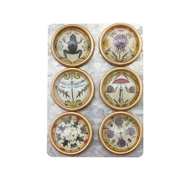 Secret Garden Resin Magnets – Animals & Botanicals Set of 6