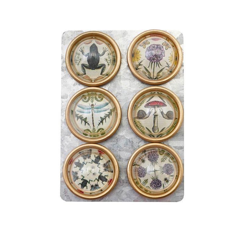 Secret Garden Resin Magnets – Animals & Botanicals Set of 6