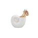 White shell-shaped container with wooden sticks and small shells on a white background