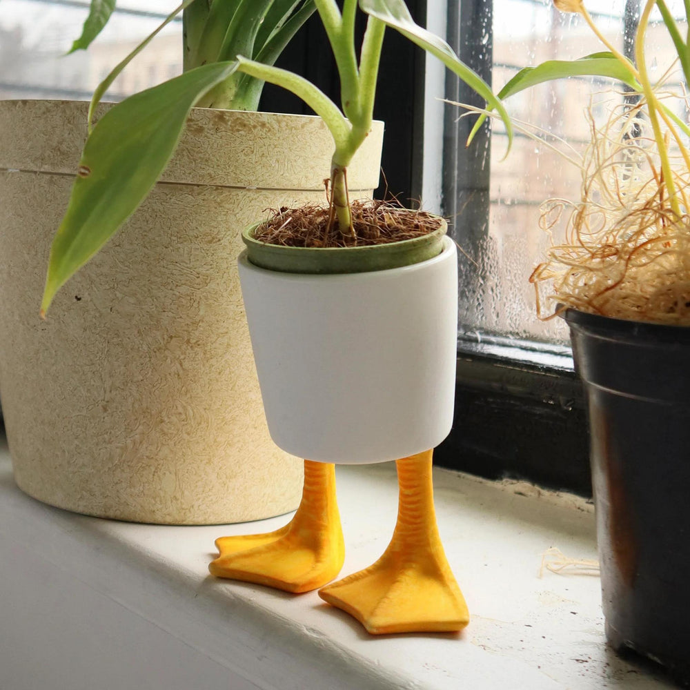 White planter with yellow duck feet on a windowsill with plants in the background