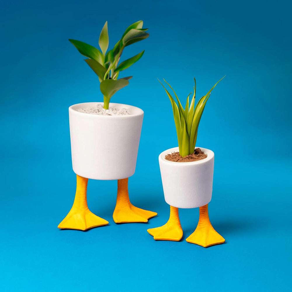 Two potted plants with duck-like legs on a blue background