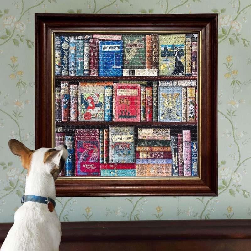 Dog looking at a framed mosaic of books on a wall with floral pattern