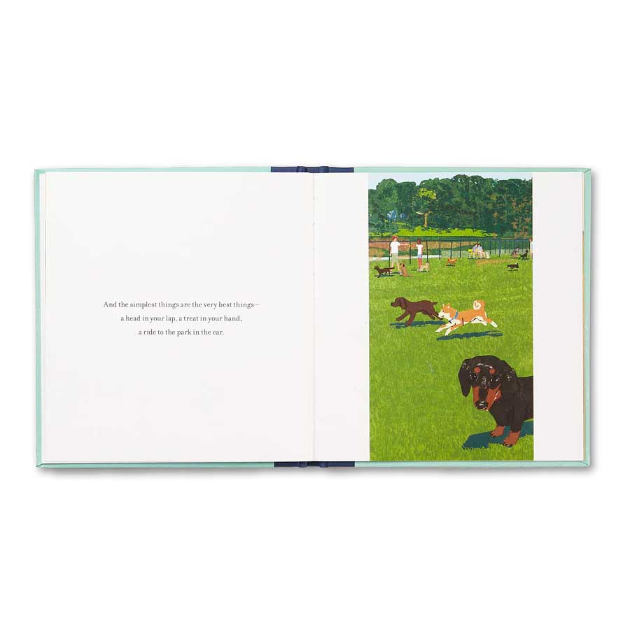 Book pages  "When You Love a Dog." featuring an illustration of dog playing on the park
