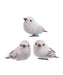Three white fluffy birds with brown beaks on a white background