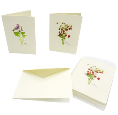 Wildflower Assortment card set