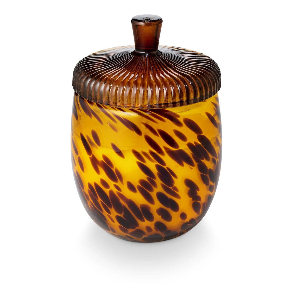 Tortoiseshell-patterned jar with a lid on a white background