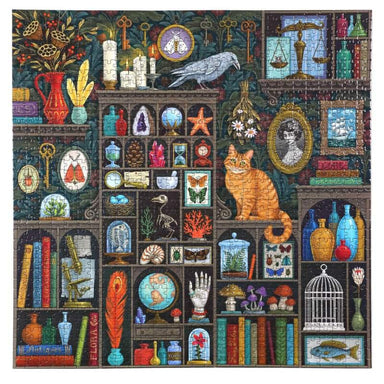 Colorful illustration of a bookshelf with various objects including a cat, books, and decorative items.