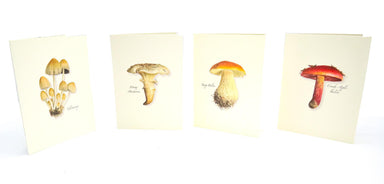8 assorted Mushroom Greeting Cards. Each card features a delightful mushroom design.