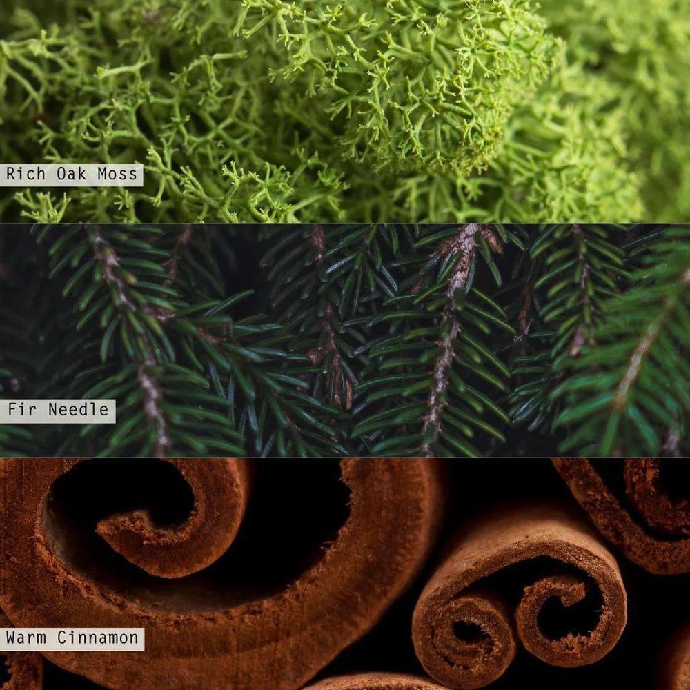 Balsam & Cedar Mini Diffuser - Port Gamble General Store & Cafe