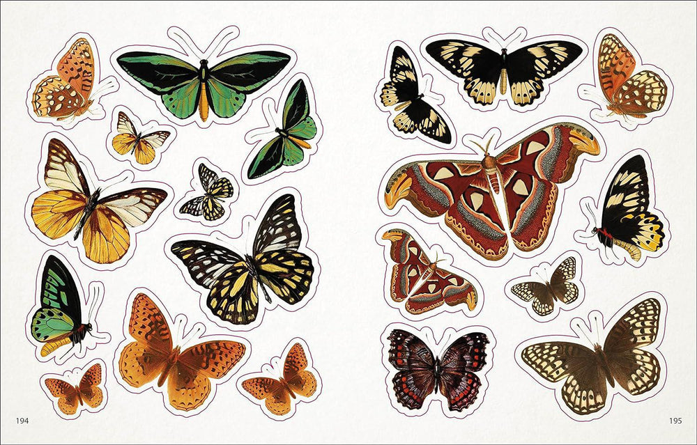 Bees Birds & Butterflies Sticker Anthology - Book - Port Gamble General Store & Cafe