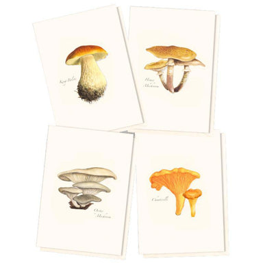 Boxed Blank Notes with Mushroom Drawings - E.S.+W. - Port Gamble General Store & Cafe