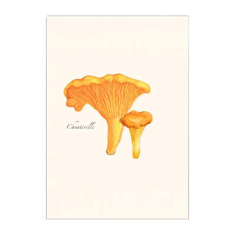 Boxed Blank Notes with Mushroom Drawings - E.S.+W. - Port Gamble General Store & Cafe