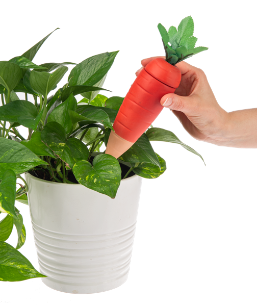 Hand holding a red carrot-shaped plant waterer over a potted plant on a white background
