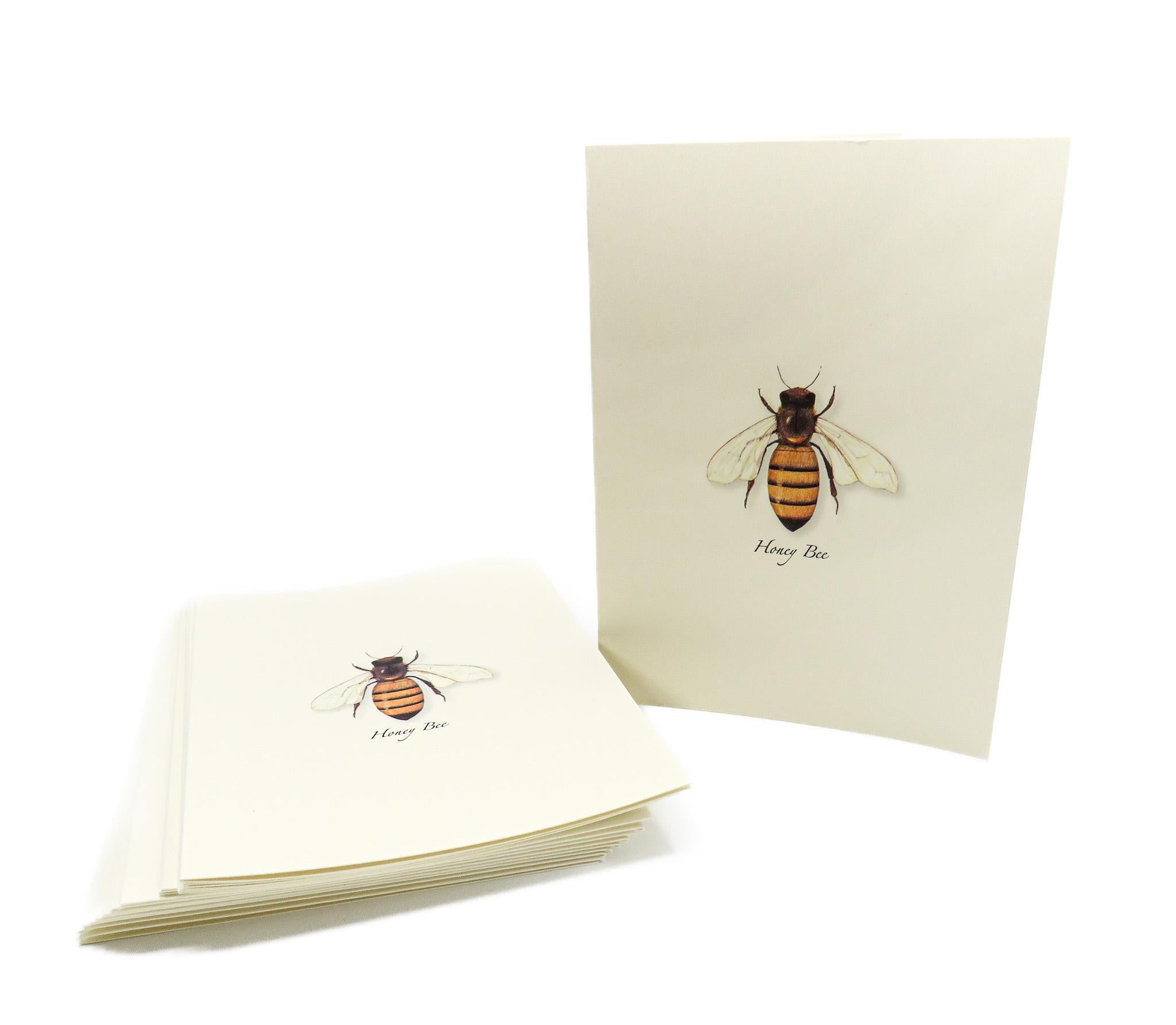 Honey Bee illustrated Boxed Notes - Unique and beautiful Message cards