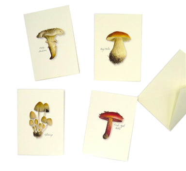 4 assorted Mushroom Greeting Cards. Each card features a delightful mushroom design.