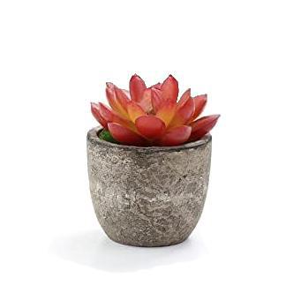 Faux Miniature Succulent in Pot