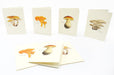 Whimsical Mushroom Art Cards | Blank Inside | High-Quality Cardstock, featuring 4 different mushroom illustrations 