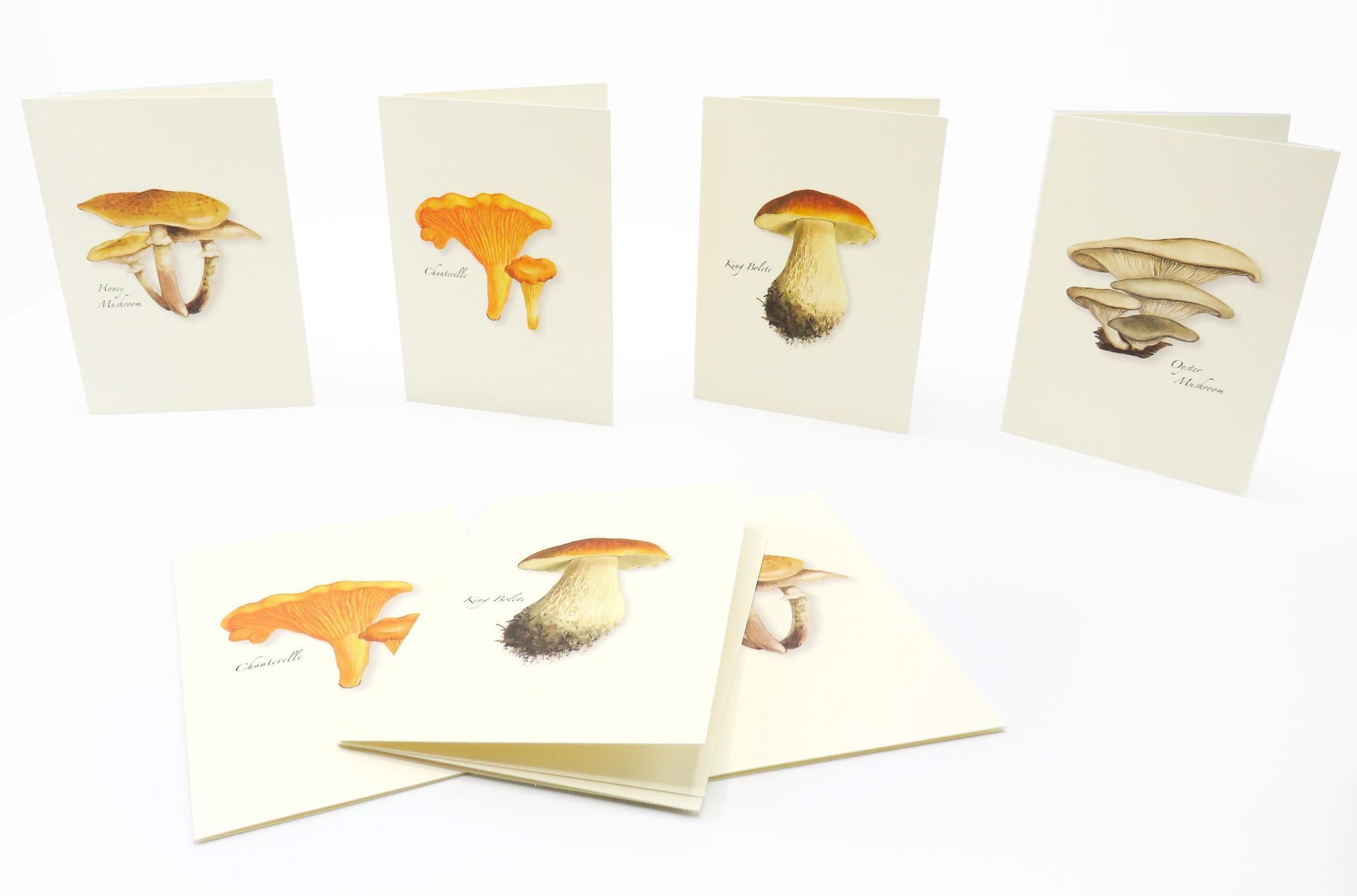 Whimsical Mushroom Art Cards | Blank Inside | High-Quality Cardstock, featuring 4 different mushroom illustrations 
