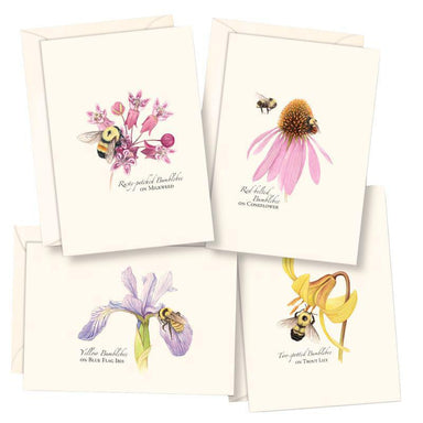 E.S.+W. Boxed Notes - Bumblebee - Port Gamble General Store & Cafe