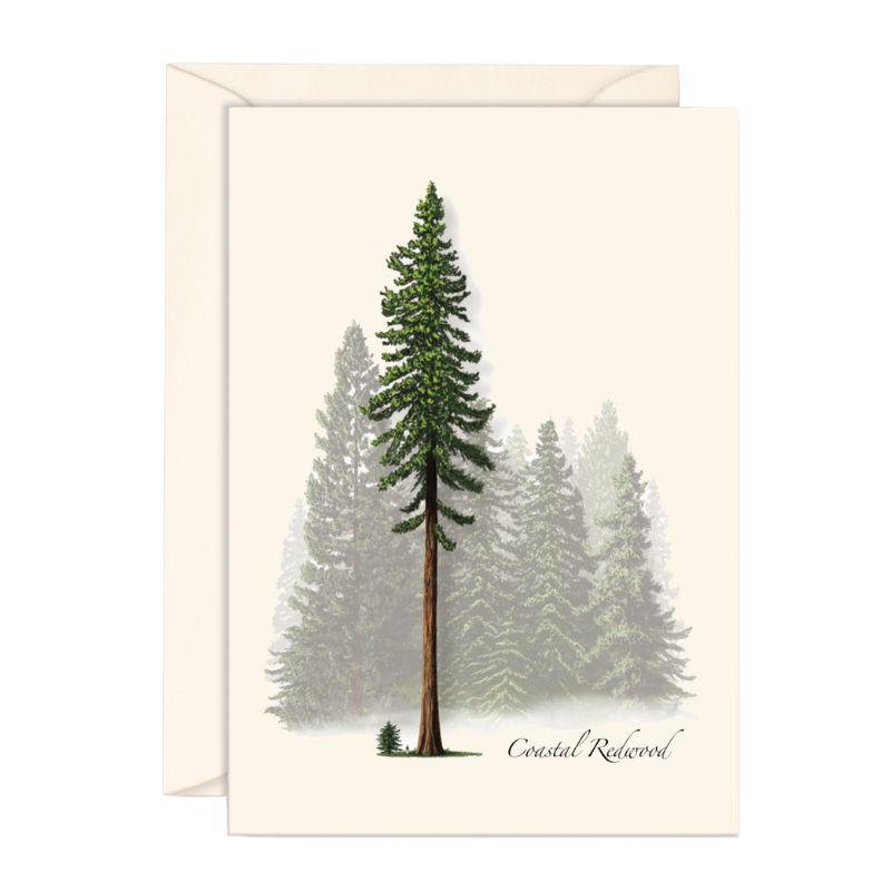 E.S.+W. Boxed Notes - Coastal Redwood - Port Gamble General Store & Cafe