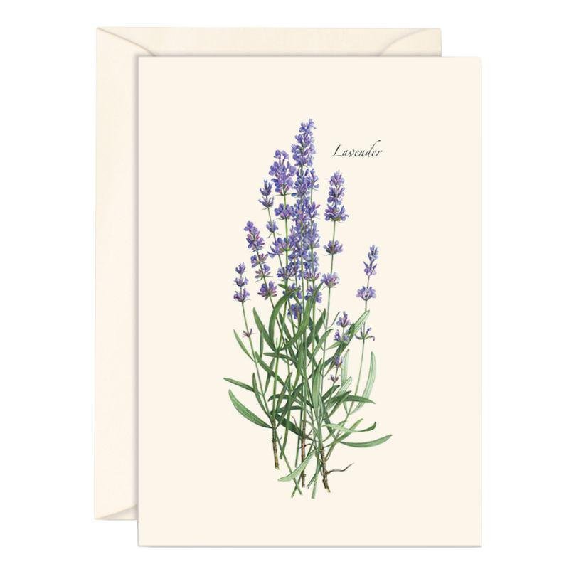 E.S.+W. Boxed Notes - Lavender - Port Gamble General Store & Cafe