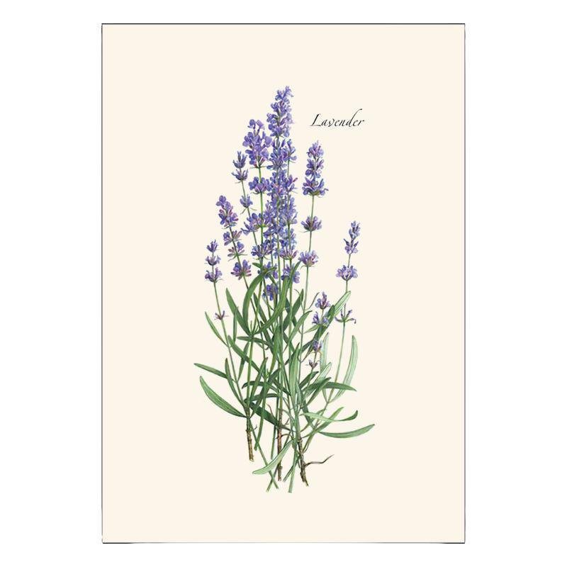E.S.+W. Boxed Notes - Lavender - Port Gamble General Store & Cafe