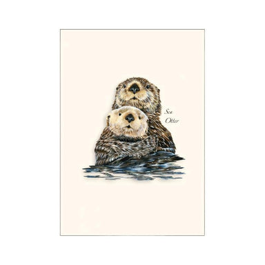 E.S.+W. Boxed Notes - Otter - Port Gamble General Store & Cafe