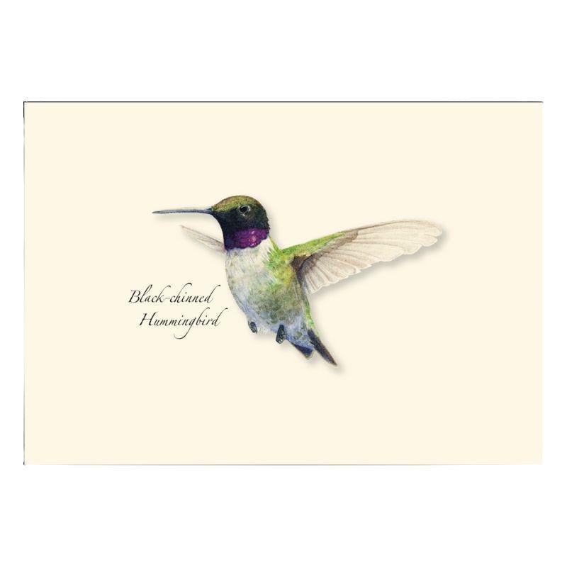 E.S.+W. Boxed Notes - Western Hummingbirds Asst - Port Gamble General Store & Cafe