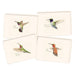 E.S.+W. Boxed Notes - Western Hummingbirds Asst - Port Gamble General Store & Cafe