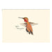 E.S.+W. Boxed Notes - Western Hummingbirds Asst - Port Gamble General Store & Cafe