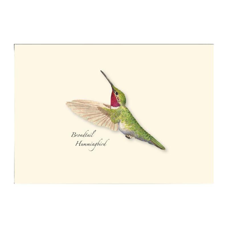 E.S.+W. Boxed Notes - Western Hummingbirds Asst - Port Gamble General Store & Cafe