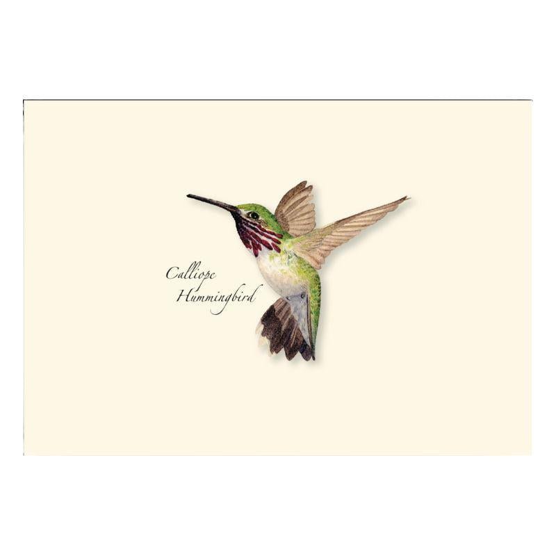 E.S.+W. Boxed Notes - Western Hummingbirds Asst - Port Gamble General Store & Cafe