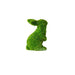 Green Flocked Bunny EM2828 - Port Gamble General Store & Cafe
