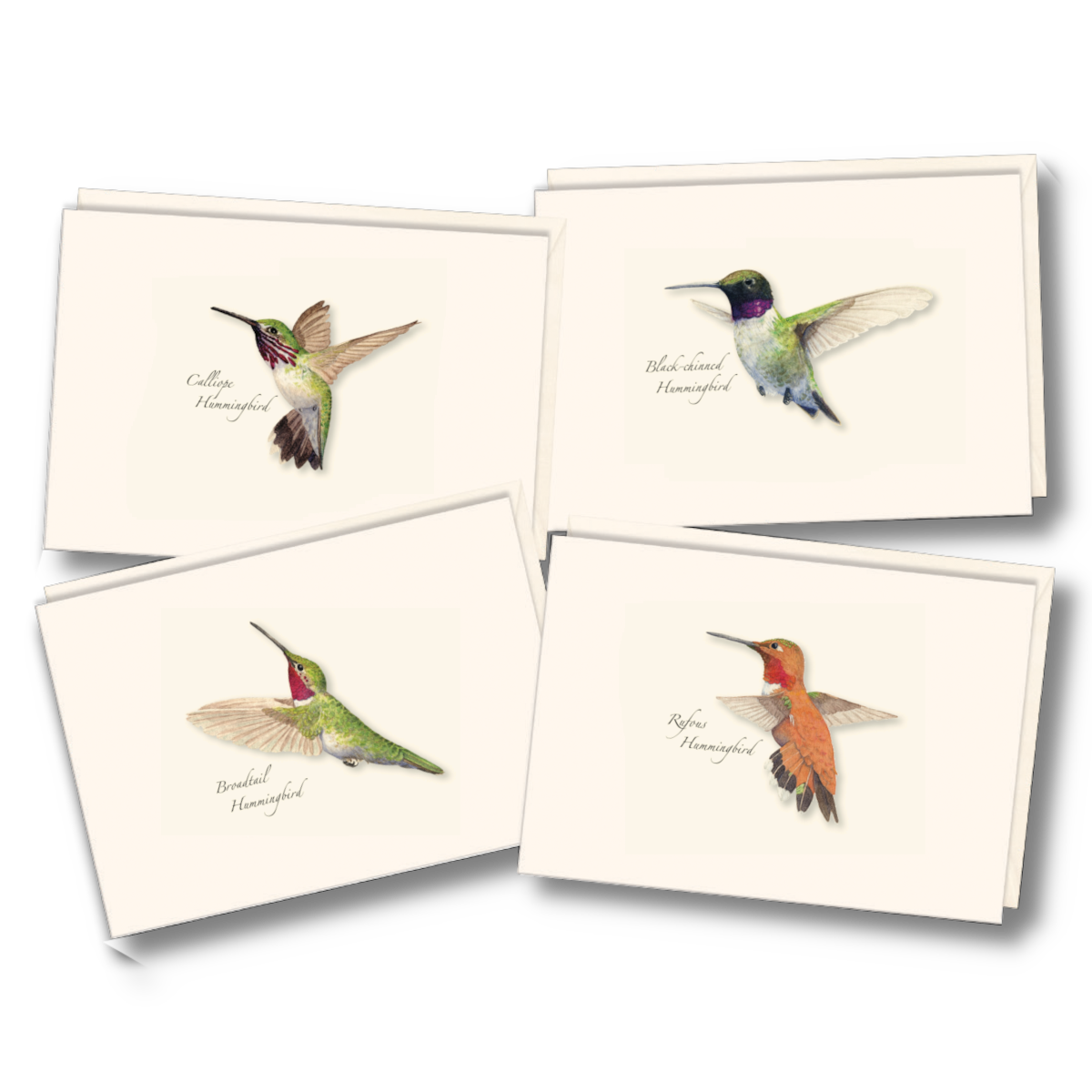 assortment of note cards Featuring stunning illustrations of Western Hummingbirds by artist Lore Rutan