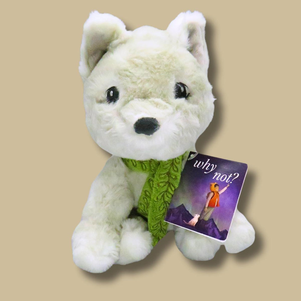 Kobi Yamada "Why Not?" Treasure Gift Box - Port Gamble General Store & Cafe