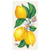 lemons design elegant paper napkins