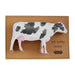 cow shaped sponge with a cow graphic and the line "not today heifer"