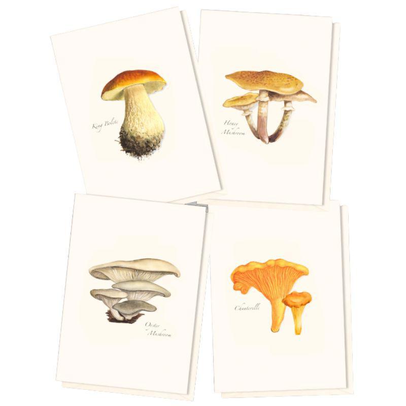Boxed Blank Notes with Mushroom Drawings - E.S.+W.
